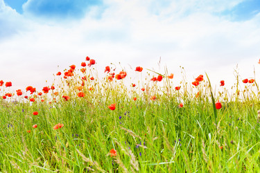 Similar image 6408591