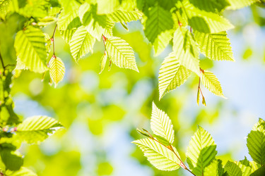 Similar image 6408593