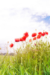 Similar image 6408619