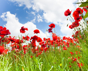 Similar image 6408620