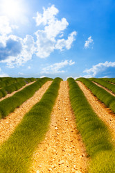 Similar image 6408622