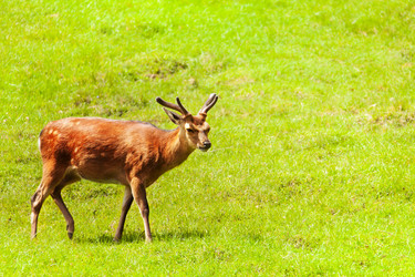 Similar image 6408652