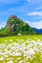 Similar image 6408667