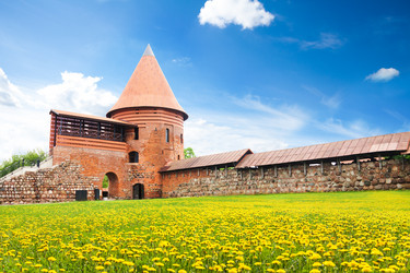 Similar image 6408679