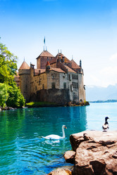 Similar image 6408714