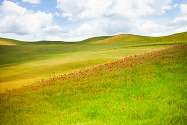 Similar image 6408729