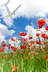 Similar image 6408738