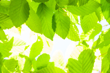 Similar image 6408741