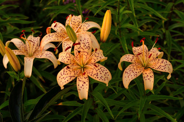 Similar image 6408766