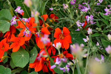 Similar image 6408767