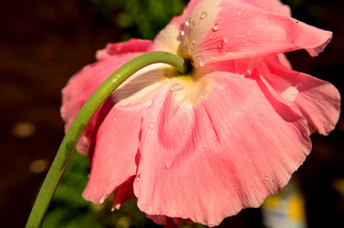 Similar image 6408768