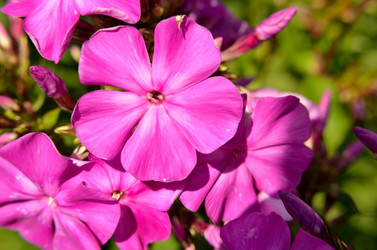 Similar image 6408770