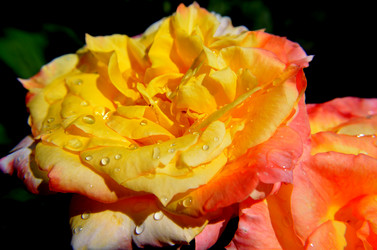 Similar image 6408771