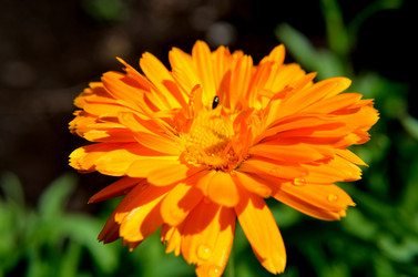 Similar image 6408772