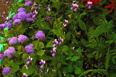 Similar image 6408774