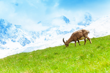 Similar image 6408811