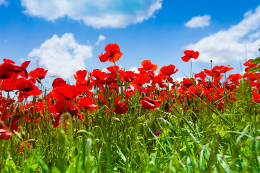 Similar image 6408814