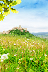 Similar image 6408830