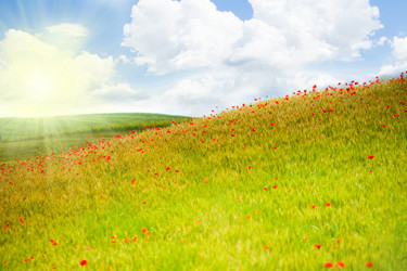 Similar image 6408843