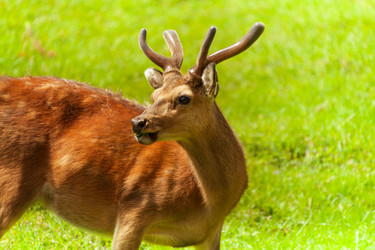 Similar image 6408863