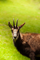 Similar image 6408865