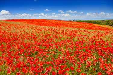 Similar image 6408867