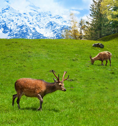 Similar image 6408877