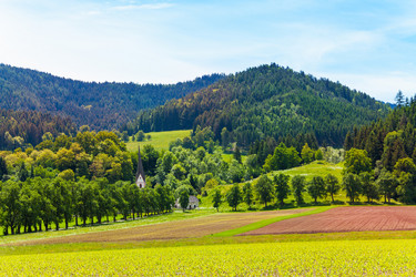 Similar image 6408929