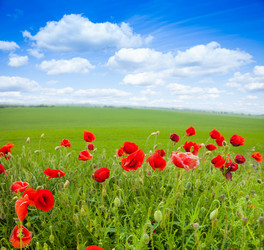 Similar image 6408941