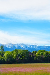 Similar image 6408948