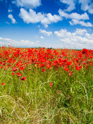 Similar image 6408950