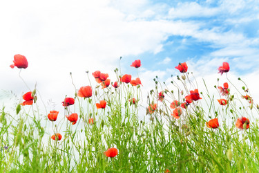 Similar image 6408951