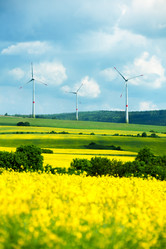 Similar image 6408961