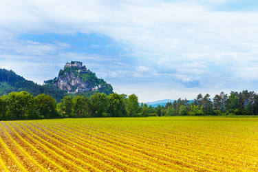 Similar image 6408977