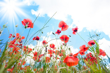 Similar image 6409007