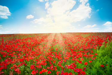 Similar image 6409069