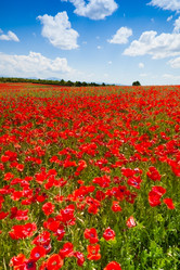 Similar image 6409070