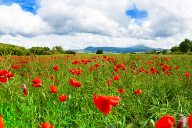 Similar image 6409117