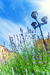 Similar image 6409119