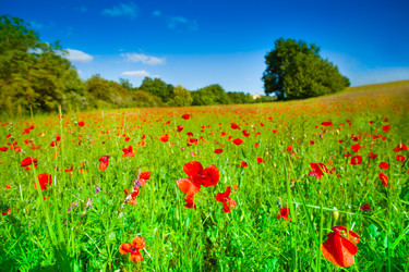 Similar image 6409128