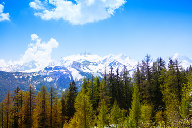 Similar image 6409133