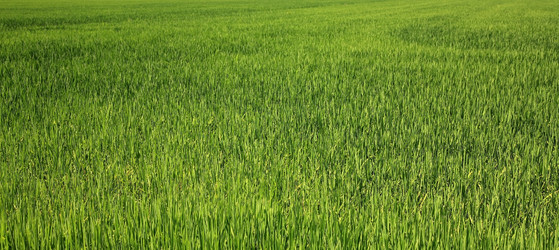 Similar image 6409136