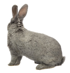 Similar image 6409142