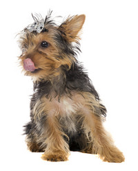 Similar image 6409146