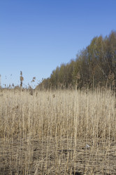 Similar image 6409156