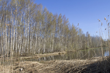 Similar image 6409158