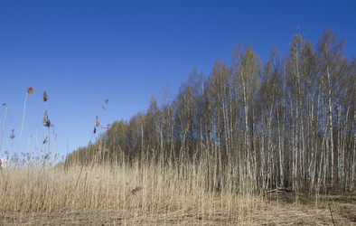 Similar image 6409159