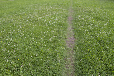 Similar image 6409176