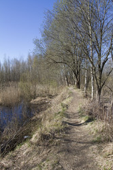 Similar image 6409178