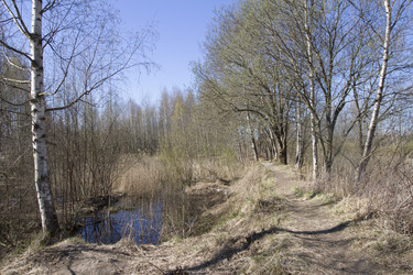 Similar image 6409180